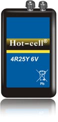4R25Y